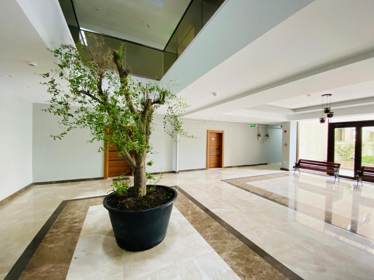 Apartament Solid Central Mamaia